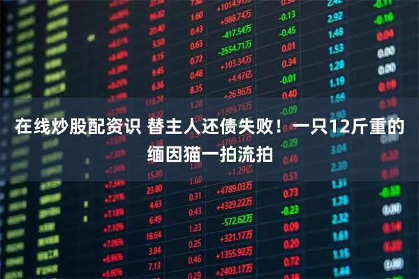 在线炒股配资识 替主人还债失败！一只12斤重的缅因猫一拍流拍