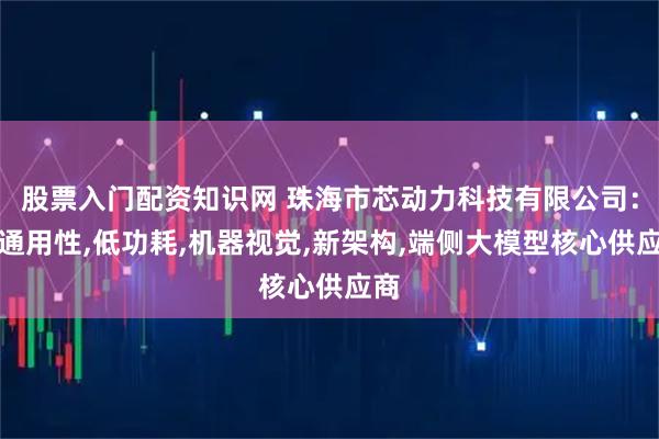 股票入门配资知识网 珠海市芯动力科技有限公司：高通用性,低功耗,机器视觉,新架构,端侧大模型核心供应商