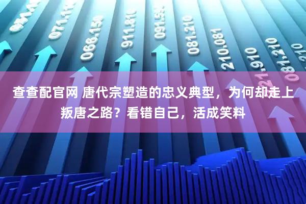 查查配官网 唐代宗塑造的忠义典型，为何却走上叛唐之路？看错自己，活成笑料